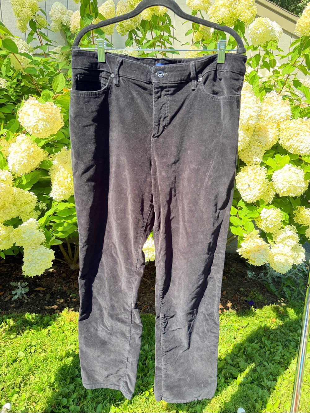 Bandolino Men's Black Corduroy Pants